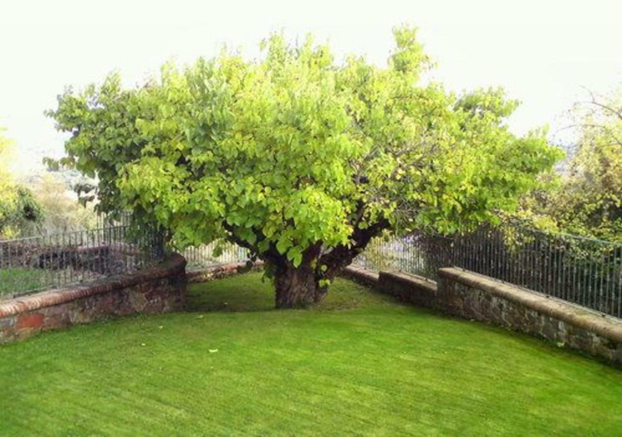 El Patio De La Morera El Rasillo Ngoại thất bức ảnh